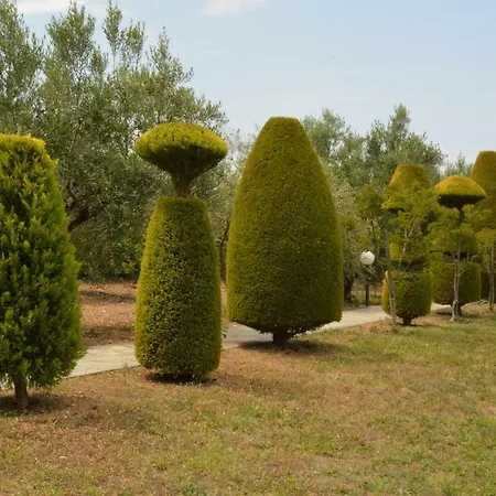 Ground Дом отдыха